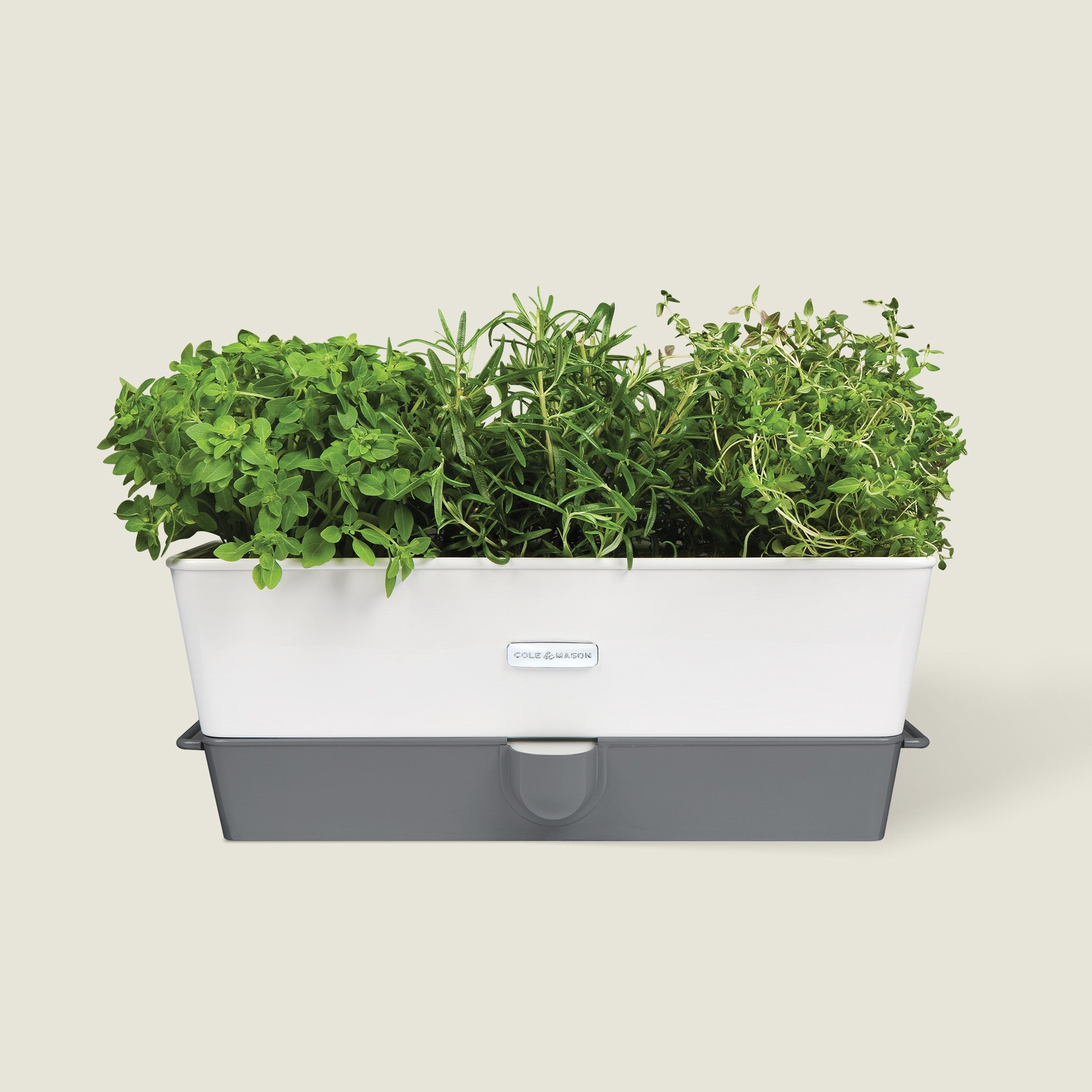 perry mason case of the potted planter Cole & Mason Burwell Self-Watering Single Potted Herb Keeper
