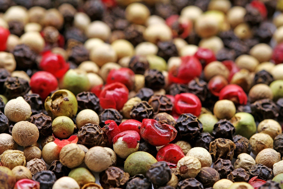 How to grow your own black peppercorn plant