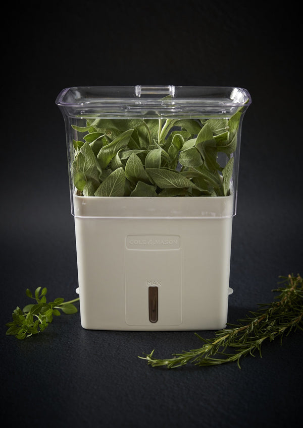 The Cole & Mason Herb Keeper: An Essential Addition to Your Kitchen