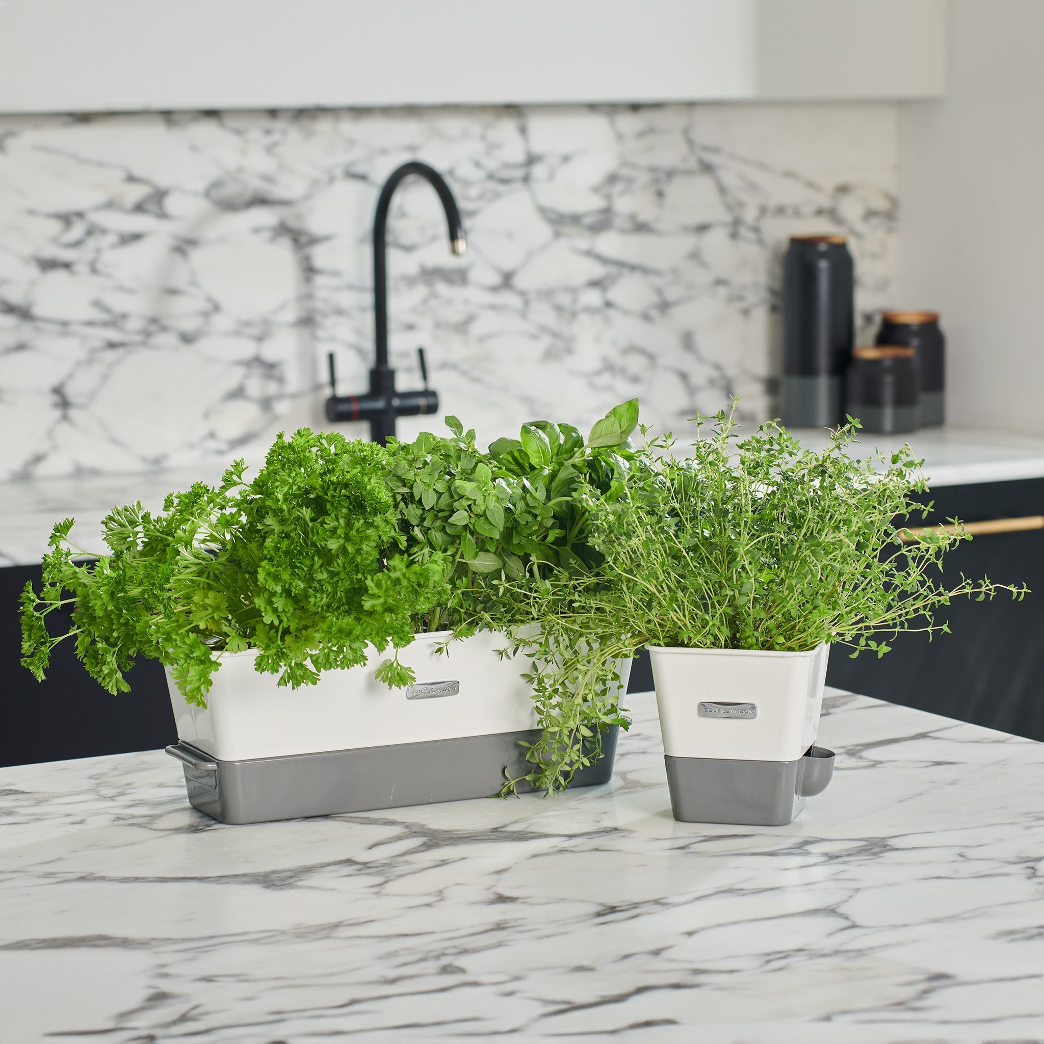 indoor self watering herb planter Cole & Mason Self Watering Herb Keeper