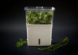 Cole & Mason Herb Keeper Pot Cole & Mason Fresh Cut Herb Keeper Pot H105159U