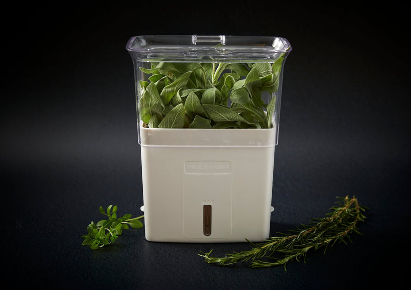 Herb Trimming, Free Delivery Over $499*