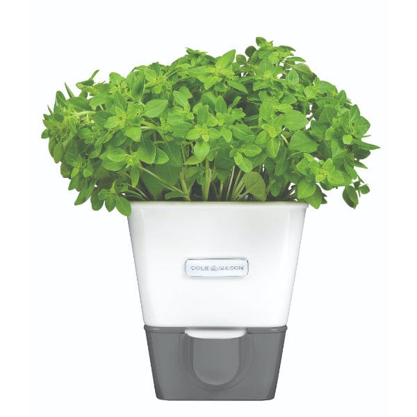 Cole & Mason Burwell Self-Watering Single Potted Herb Keeper